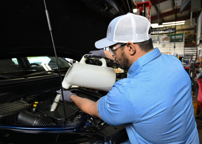 PointS (16 of 25).jpg